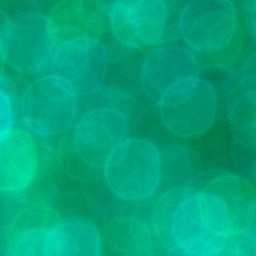 Bokeh-444